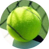 Practice Tennis Ball