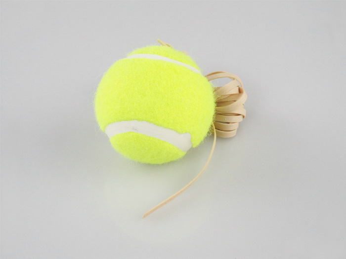 Rope training tennis can be customized TGE Tennis Ball
